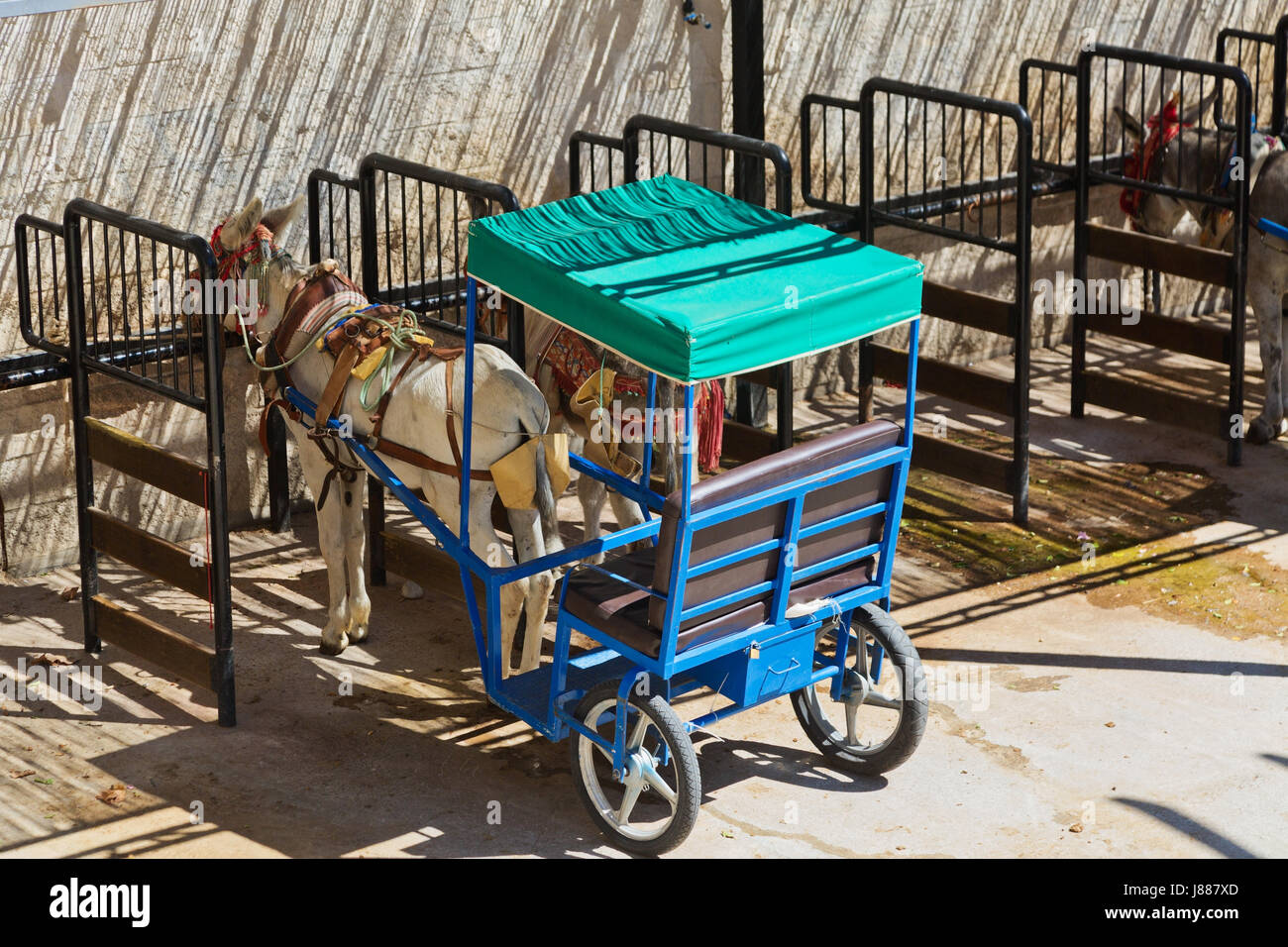 Resting donkey harnessed to the cart resting in Mijas village. Andalusia. Spain Stock Photo