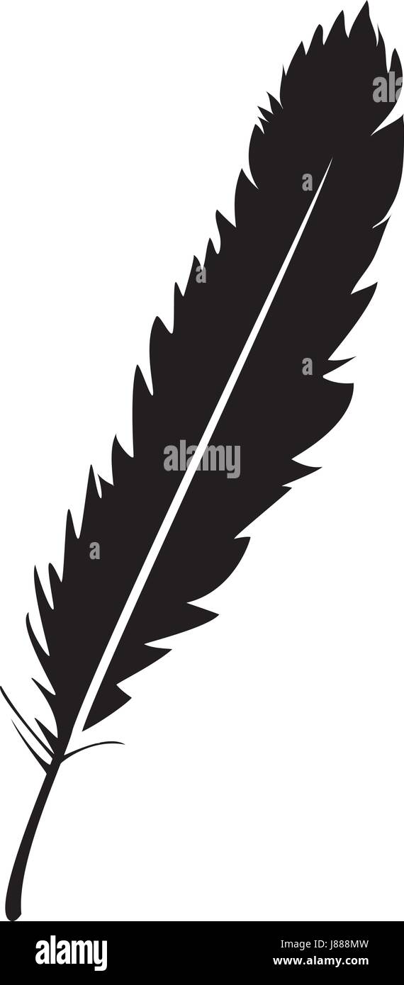 vector illustration of a feather isolated on white background Stock Vector