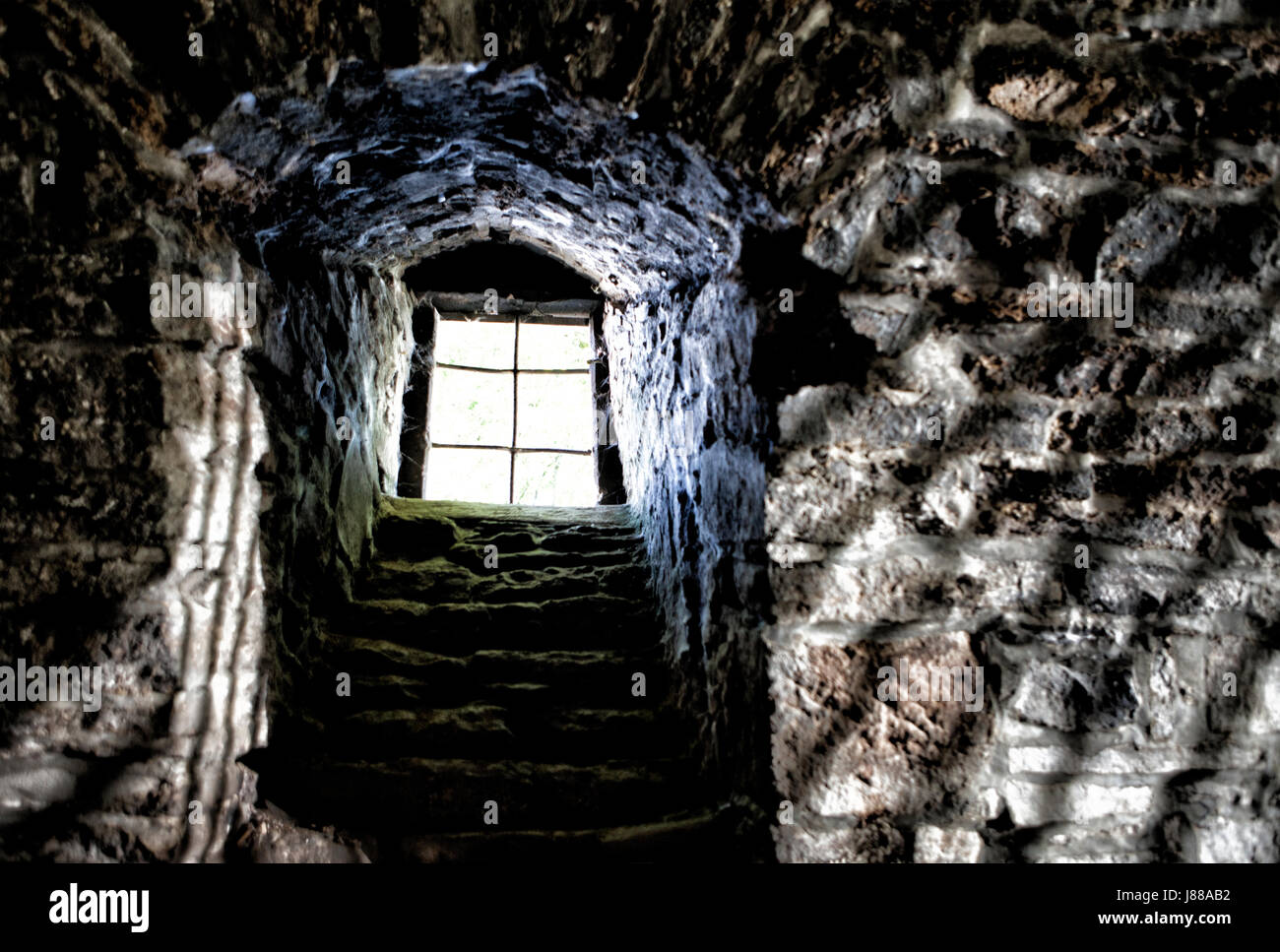 A cellar of an old castle, Germany, Europe Stock Photo