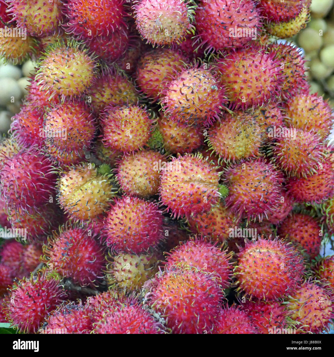 Rambutans, similar to lychees, at the market in Luang Prabang Stock Photo