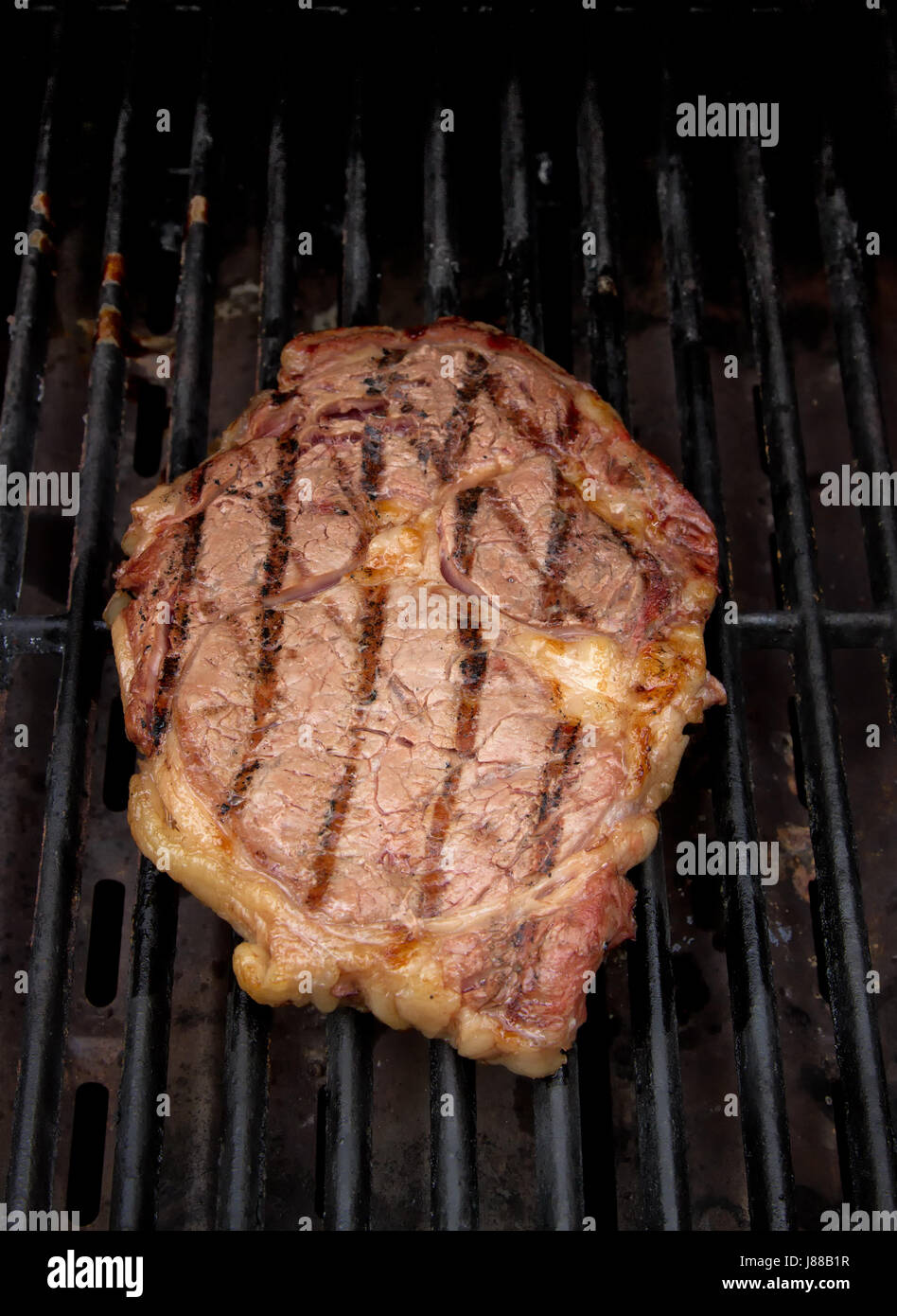 A seared ribeye steak grilling on a gas grill Stock Photo - Alamy