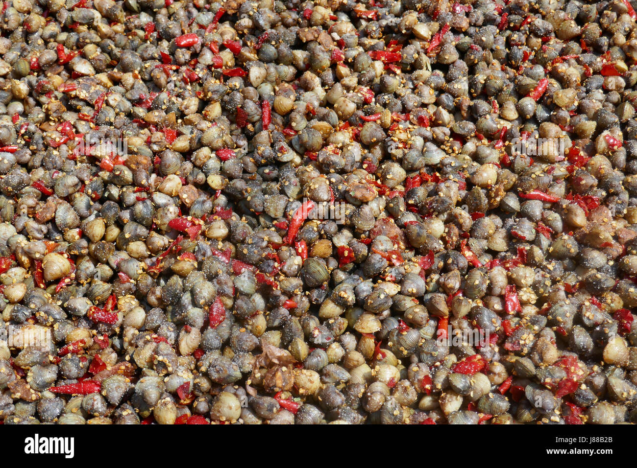 Tiny edible shellfish for sale in Laos Stock Photo Alamy