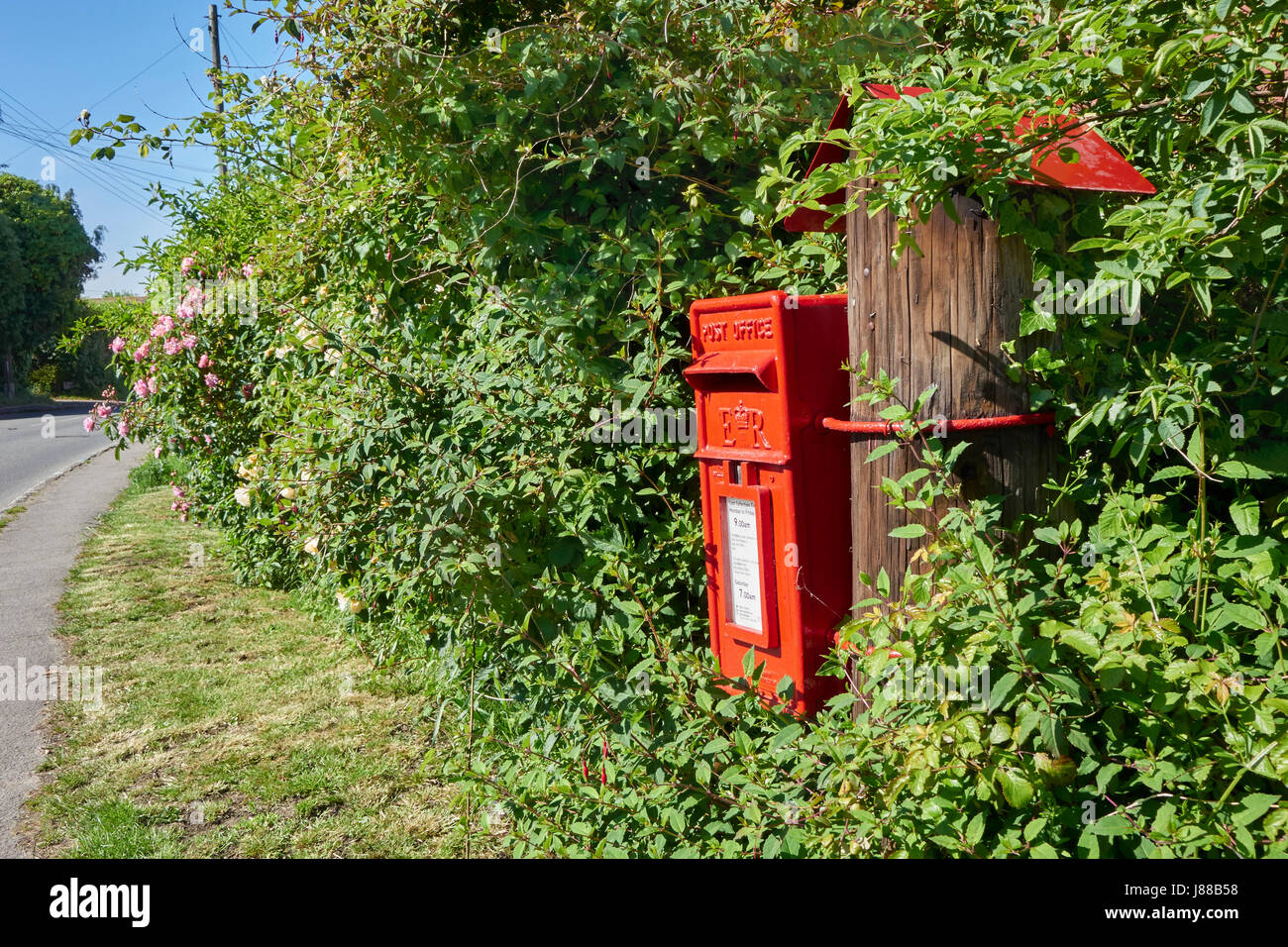 Freshly painted Royal Mail rural post box set among roses on a country road at Iden in East Sussex, England UK Stock Photo