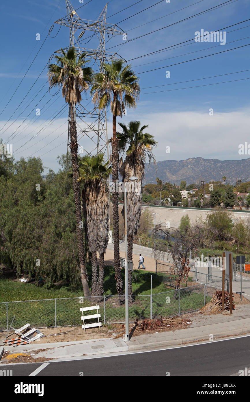 Palm trees in front of the Los Angeles River and San Gabriel Mountains seen from Silver Lake, California Stock Photo