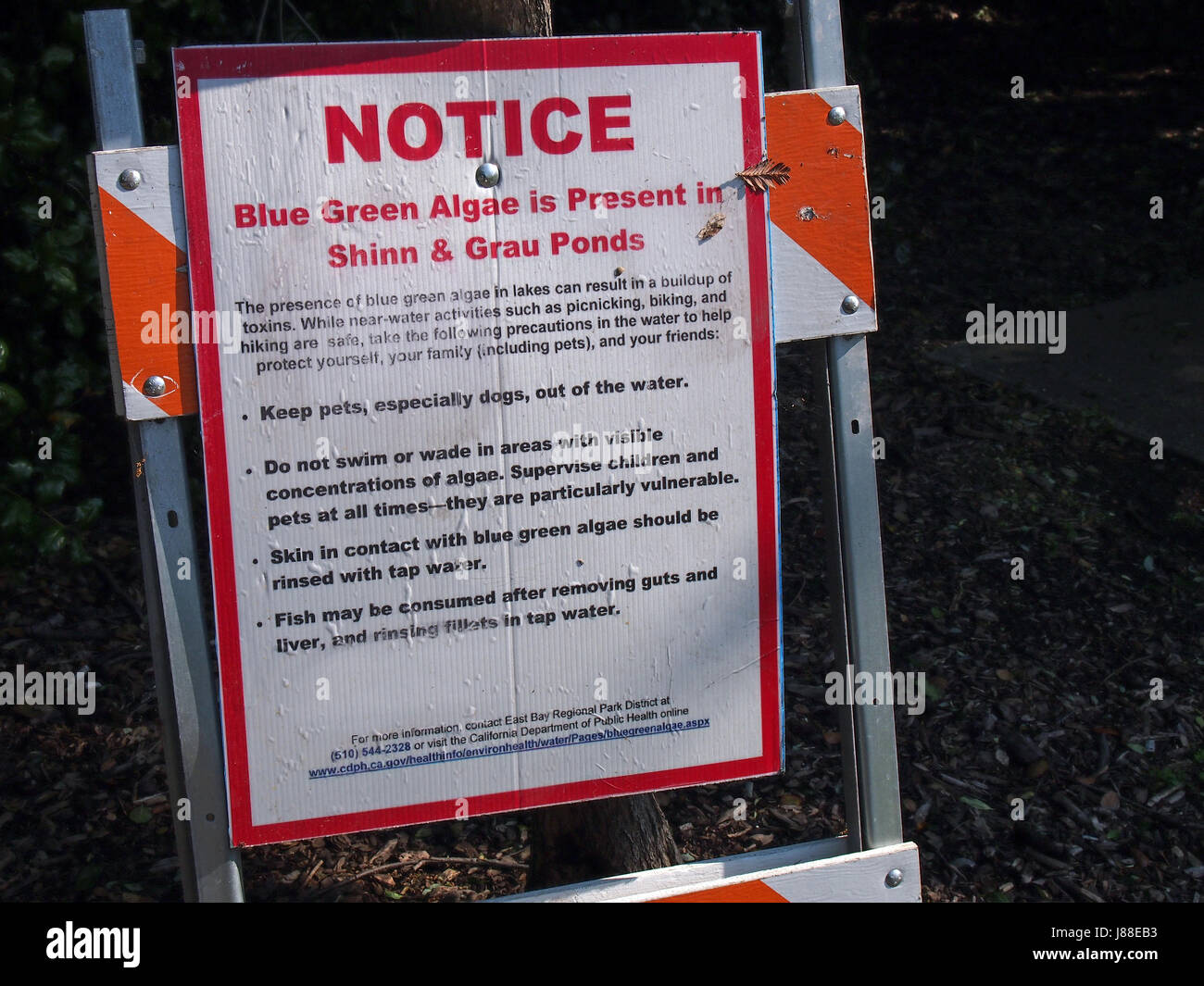 Blue green algae warning sign hi-res stock photography and images - Alamy