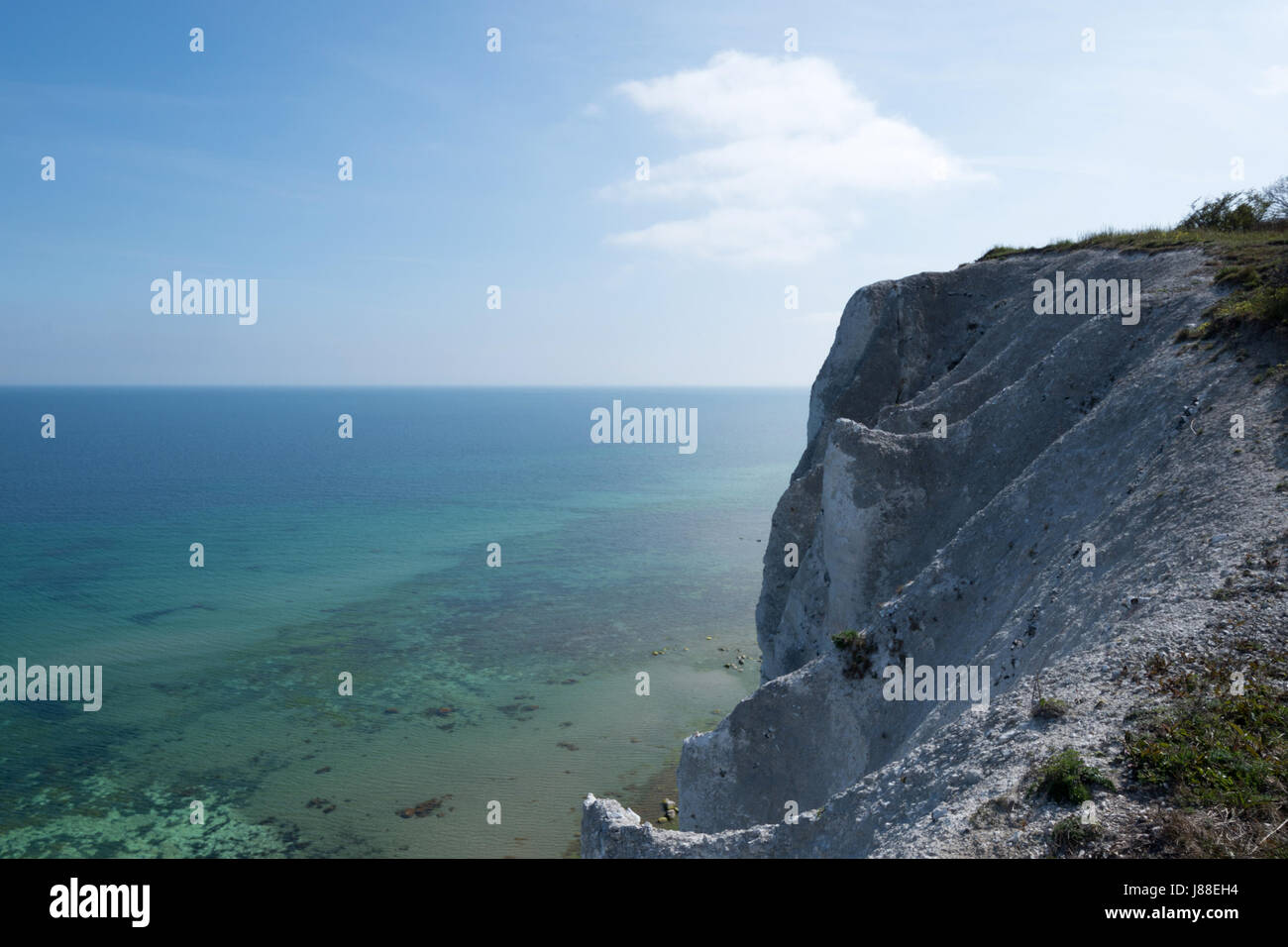 Møns Klint chalk cliffs, Møn Island, Denmark, Europe Stock Photo Alamy