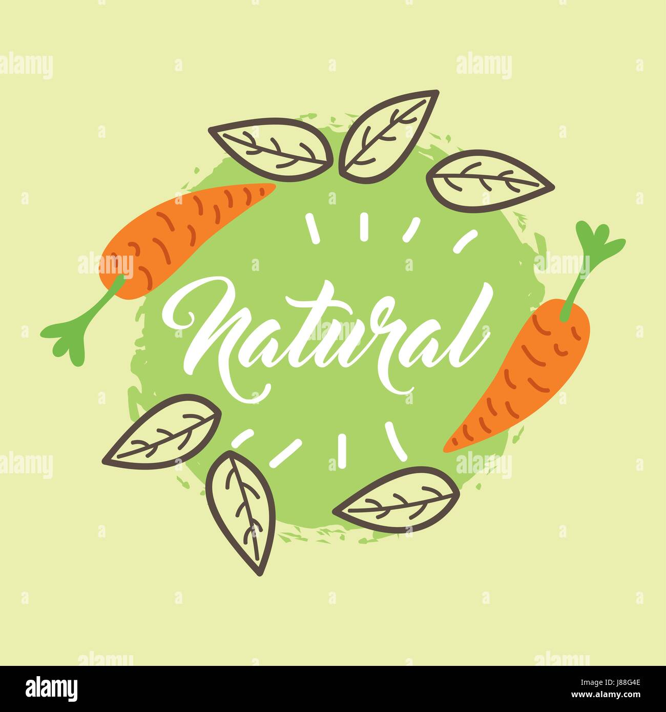 leaves organic icon Stock Vector Image & Art - Alamy