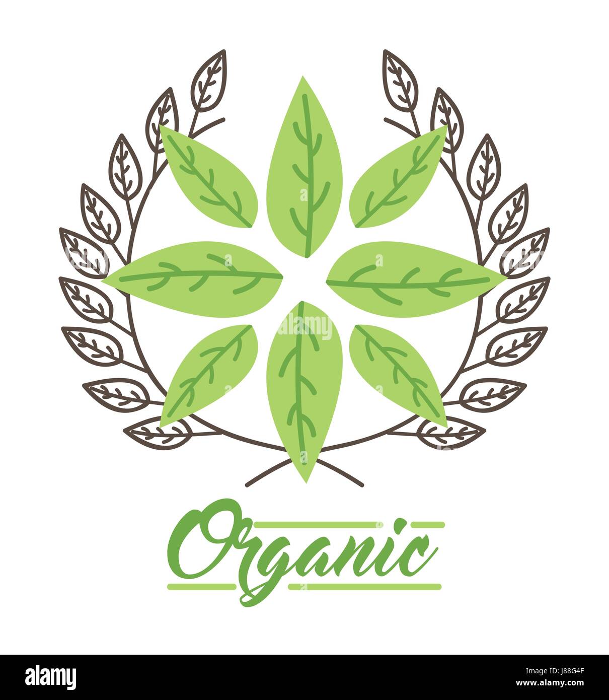 leaves organic icon Stock Vector Image & Art - Alamy