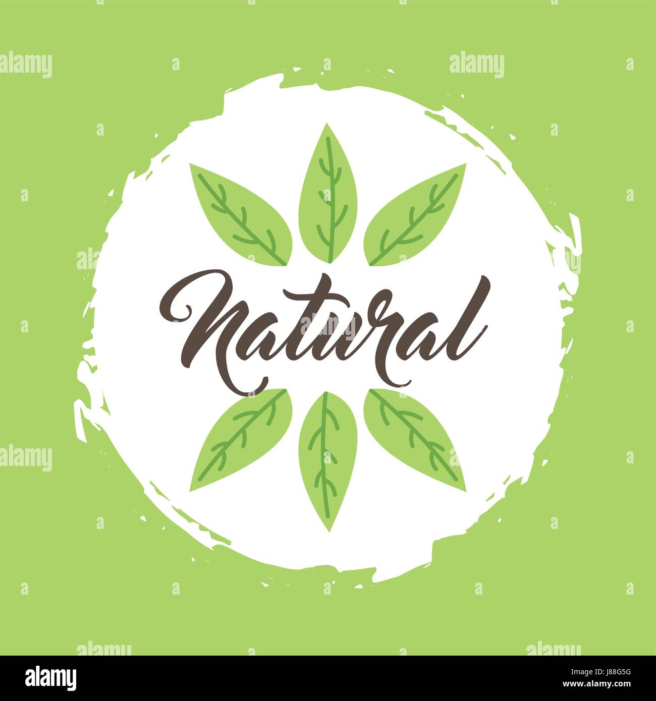 leaves organic icon Stock Vector Image & Art - Alamy