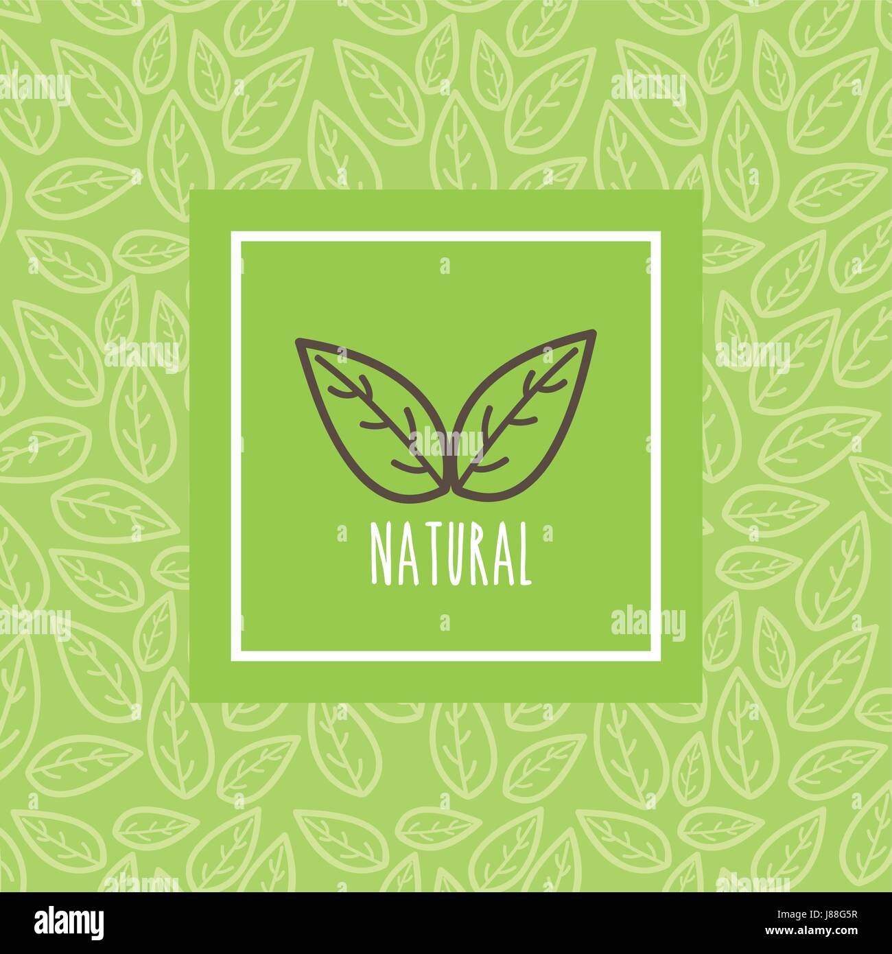 leaves organic icon Stock Vector Image & Art - Alamy