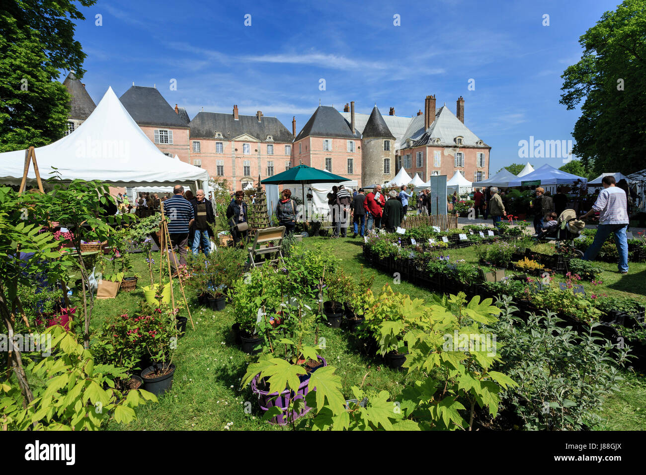 France, Loiret, Meung-sur-Loire, Plant Fair at the castle in May Stock Photo