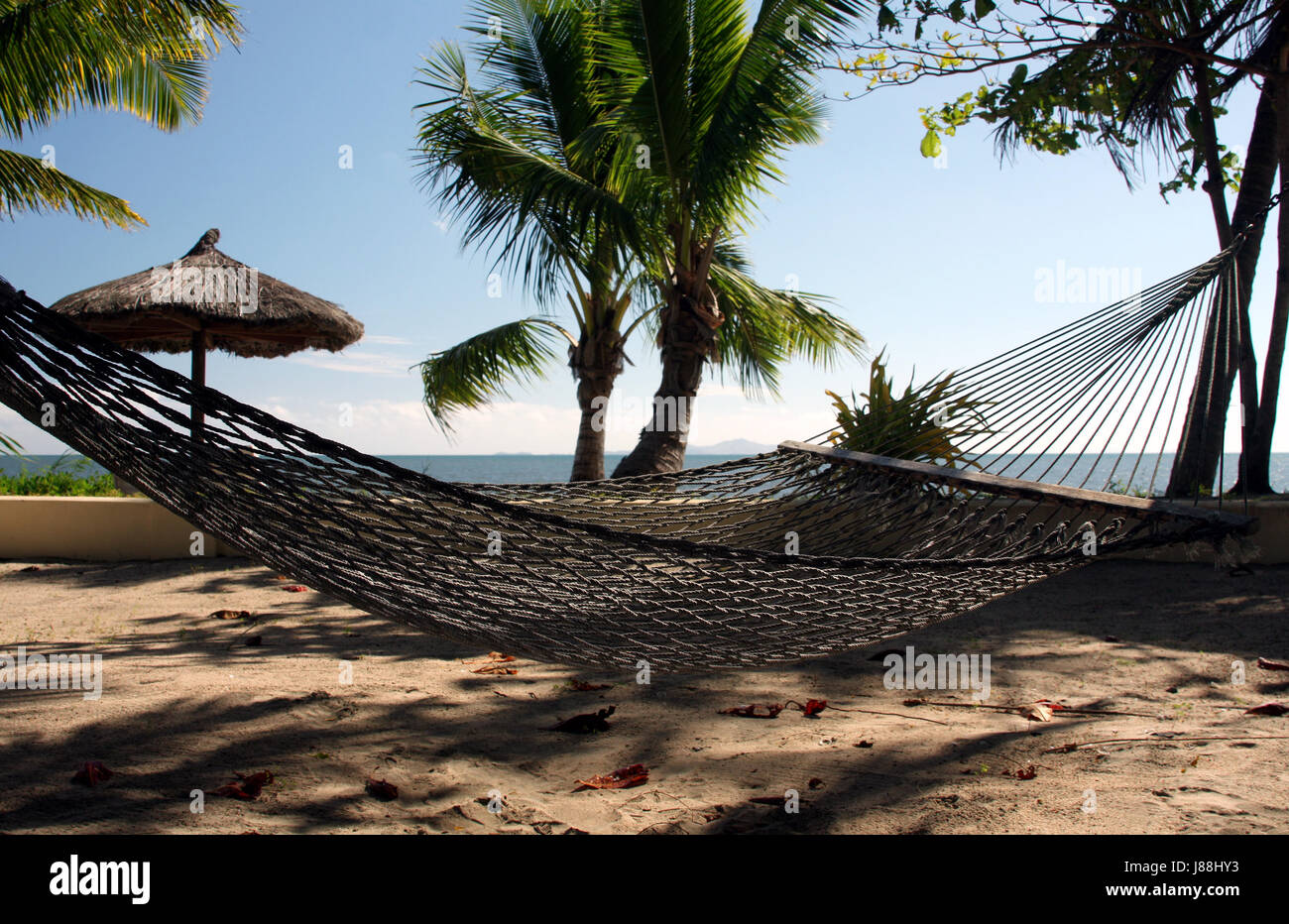 relaxation, beach, seaside, the beach, seashore, palms, tropical, hammock, salt Stock Photo