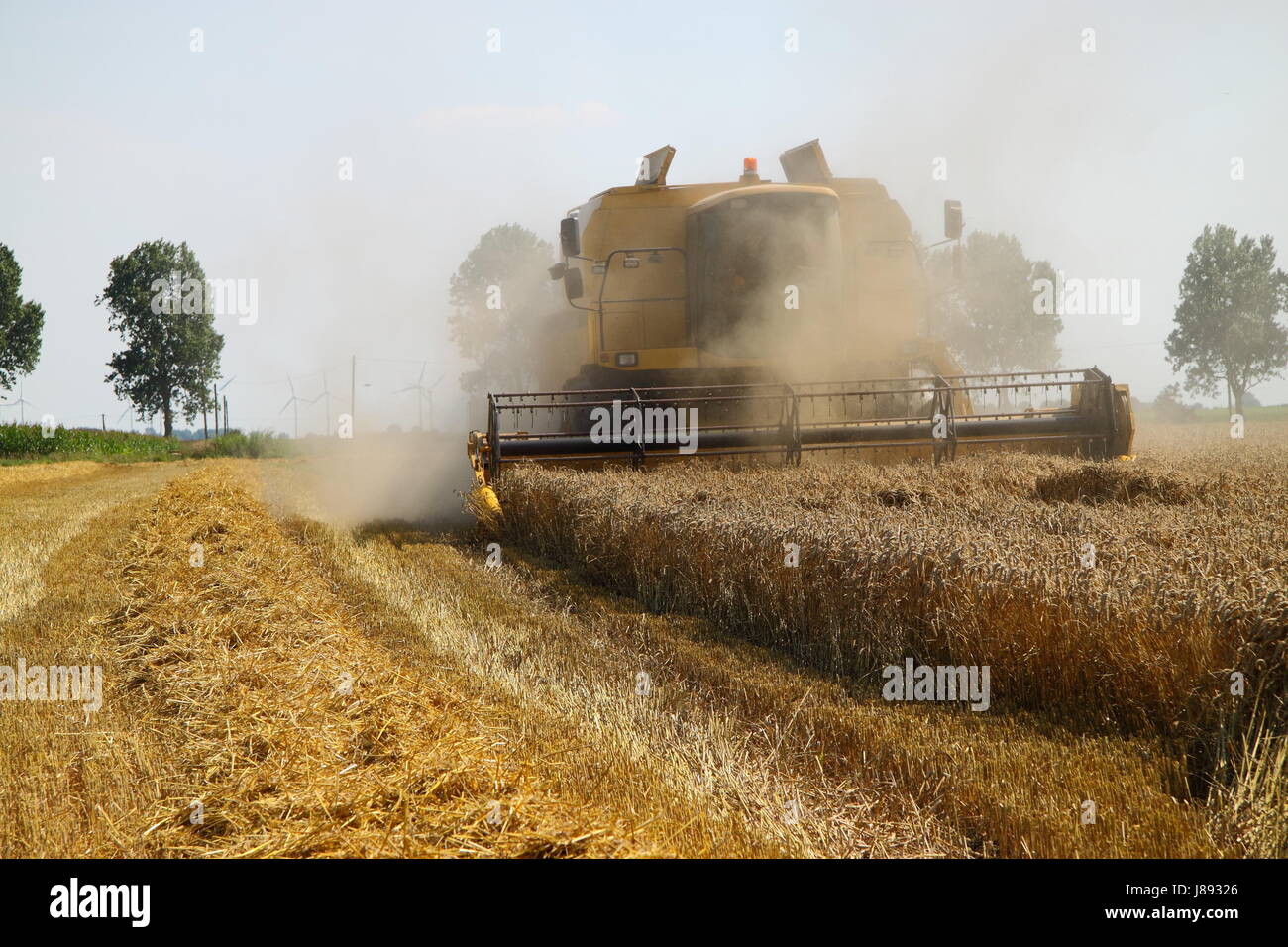 combine harvester in action Stock Photo