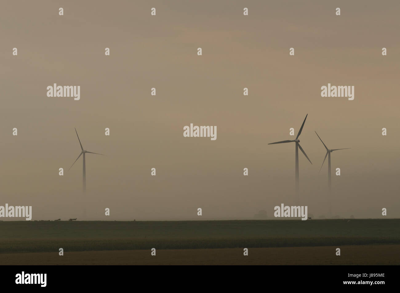 energy, power, electricity, electric power, wind energy, mud flats, Stock Photo