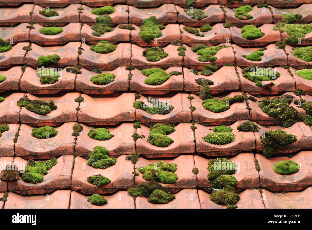old roof Stock Photo