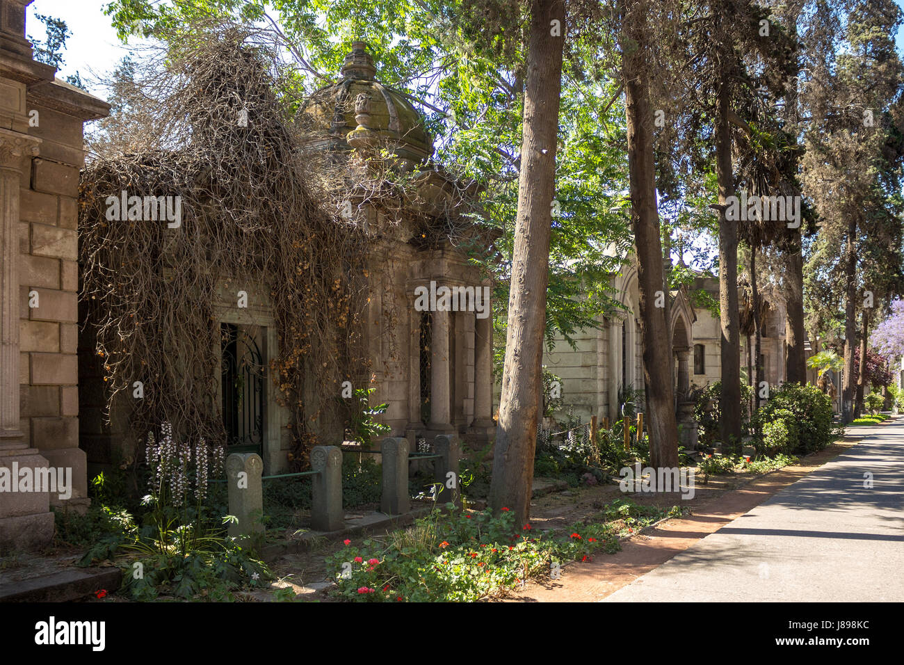 Santiago General Cemetery (Cementerio General de Santiago), Chile Stock