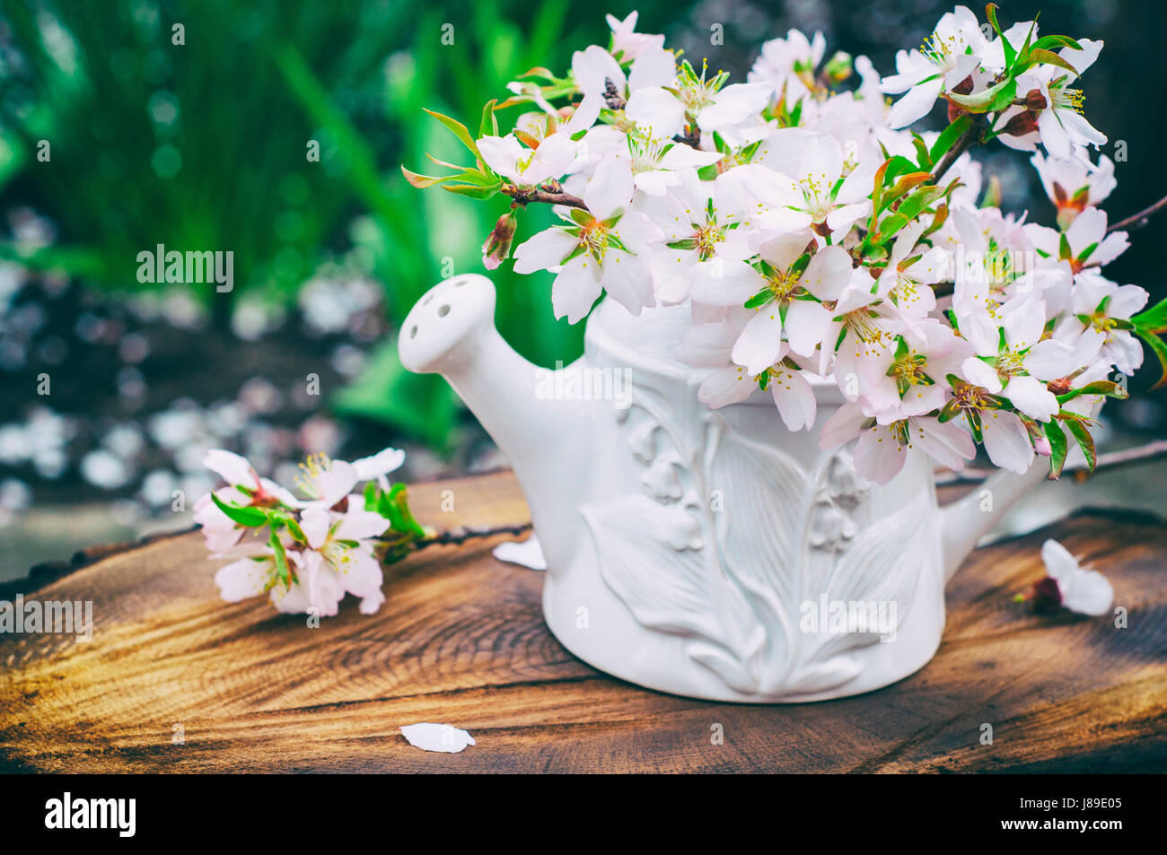 bouquet of flowering almonds in a white vase on hemp, vintage toning Stock Photo