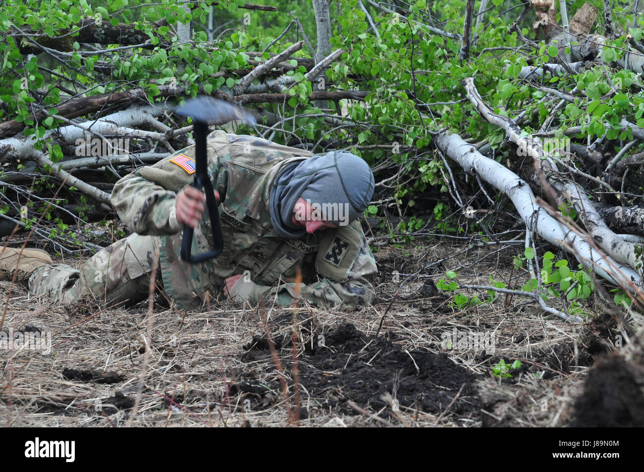 Pfc. Bradley Dodson, a maintenance mechanic from Ocala, Florida, digs a foxhole during Maple Resolve 17 at Camp Wainwright, Alberta, Canada, on May 24, 2017. Dodson’s unit, the 993rd Transportation Company, provided logistical and security support during the Canadian Army’s premier brigade-level validation exercise running 14-29 May. Stock Photo