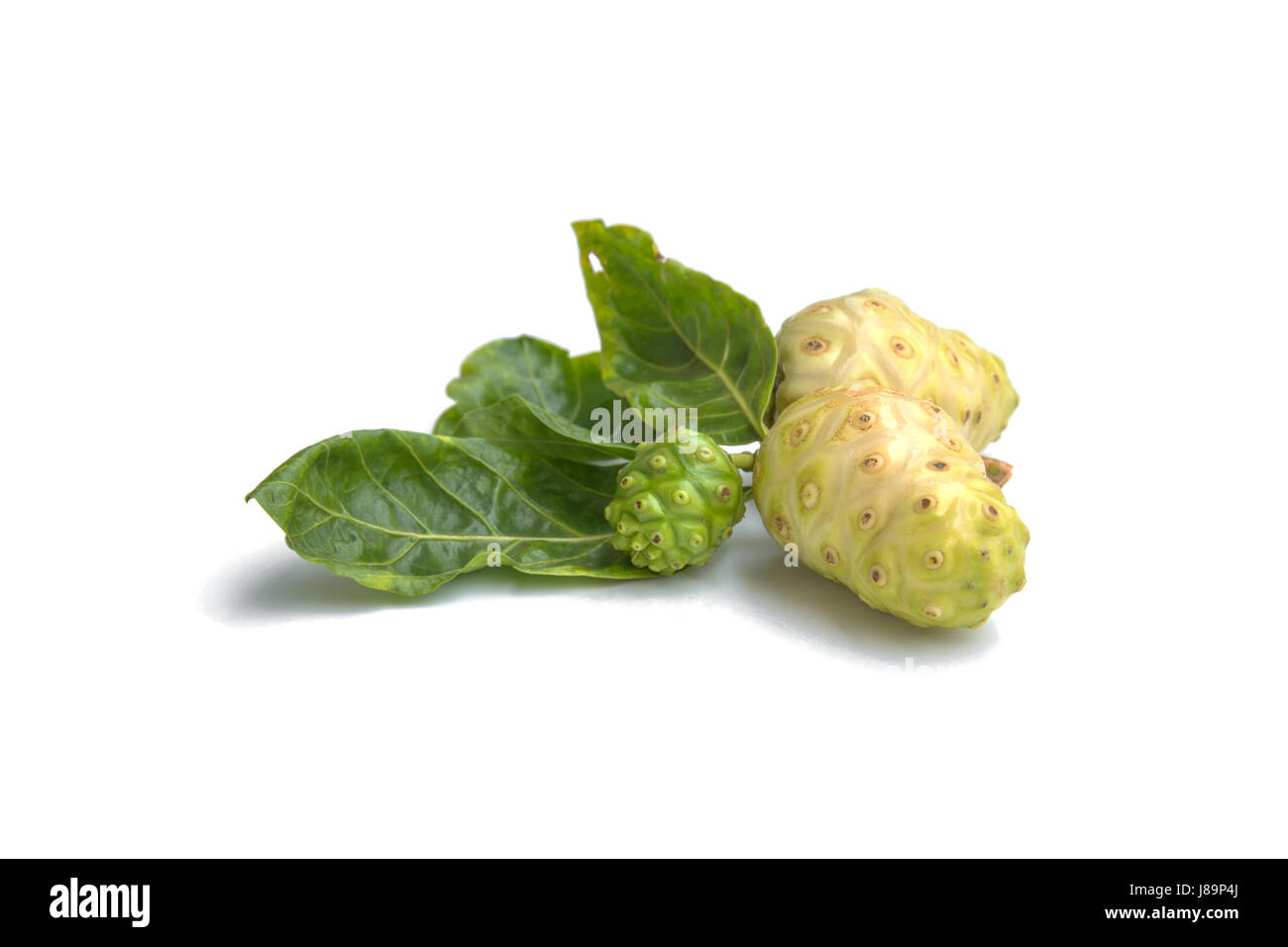Noni fruit for health and herb for health isolated on white background