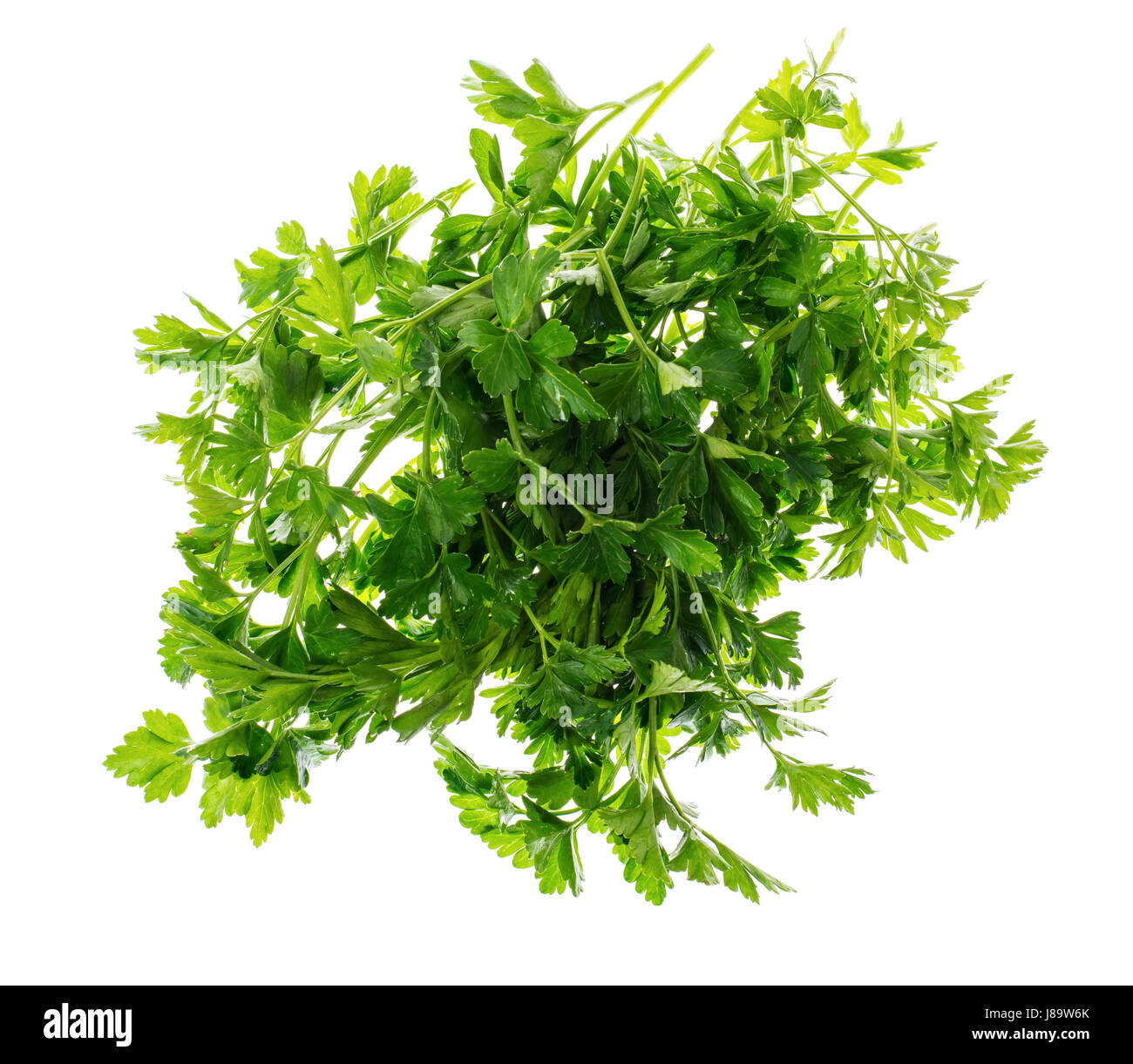 Pile of fresh parsley isolated on white background Stock Photo - Alamy