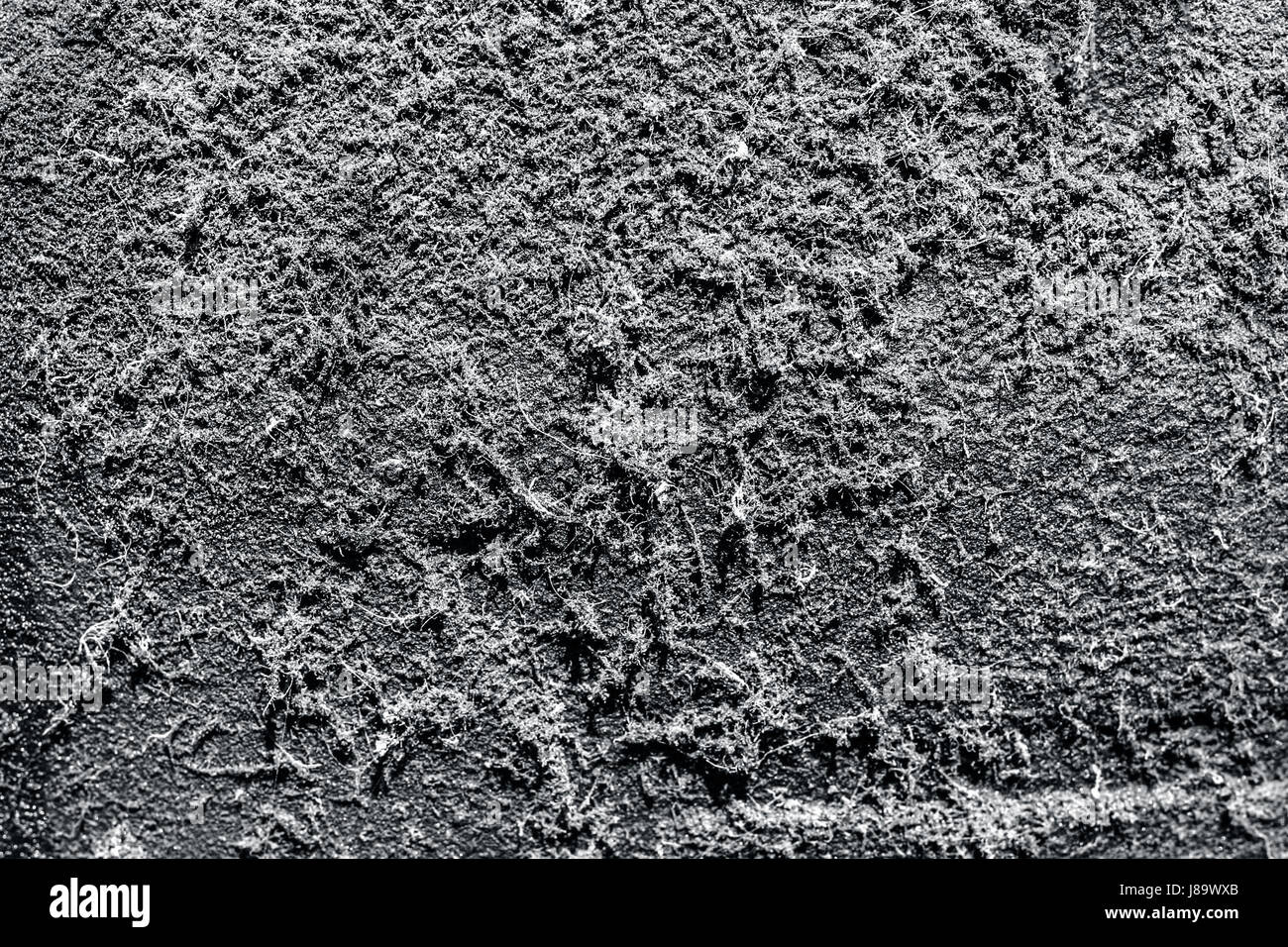 Wall Roughness Texture Example Rough texture of wall Stock Photo - Alamy