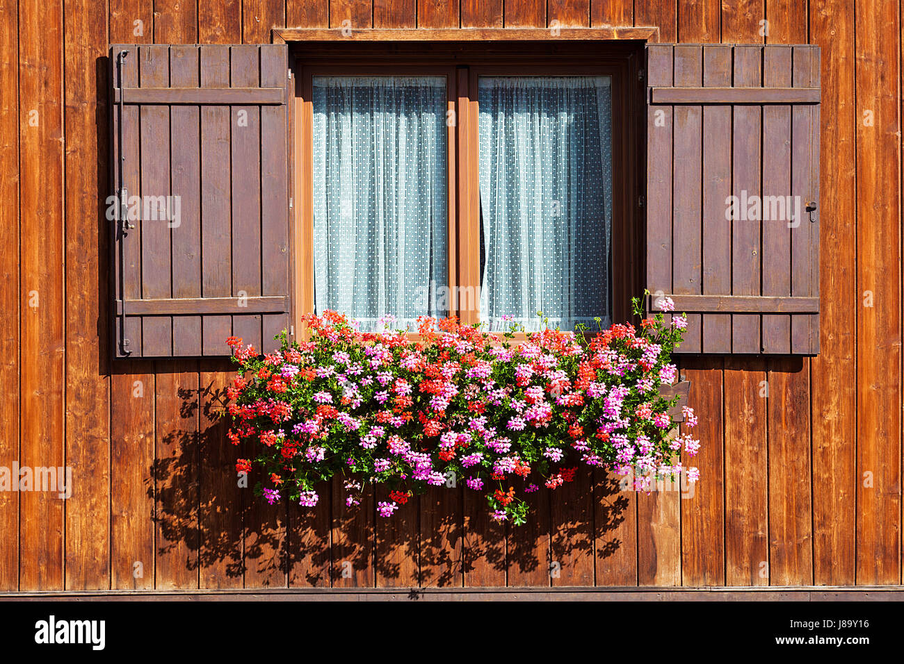 Wooden window with shutters open on and flowers in hanging flower tray ...