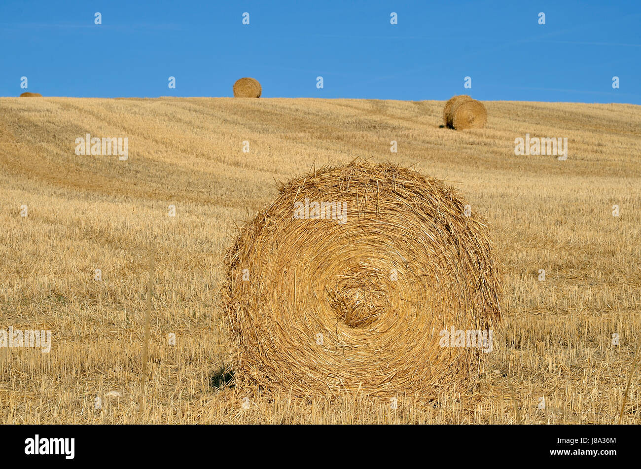 agriculture, farming, harvest, hay, roll, kaiser, bundle, cereal, grain