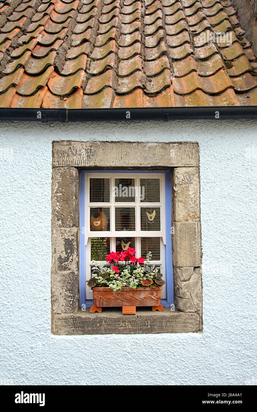 house, building, glass, chalice, tumbler, window, porthole, dormer ...