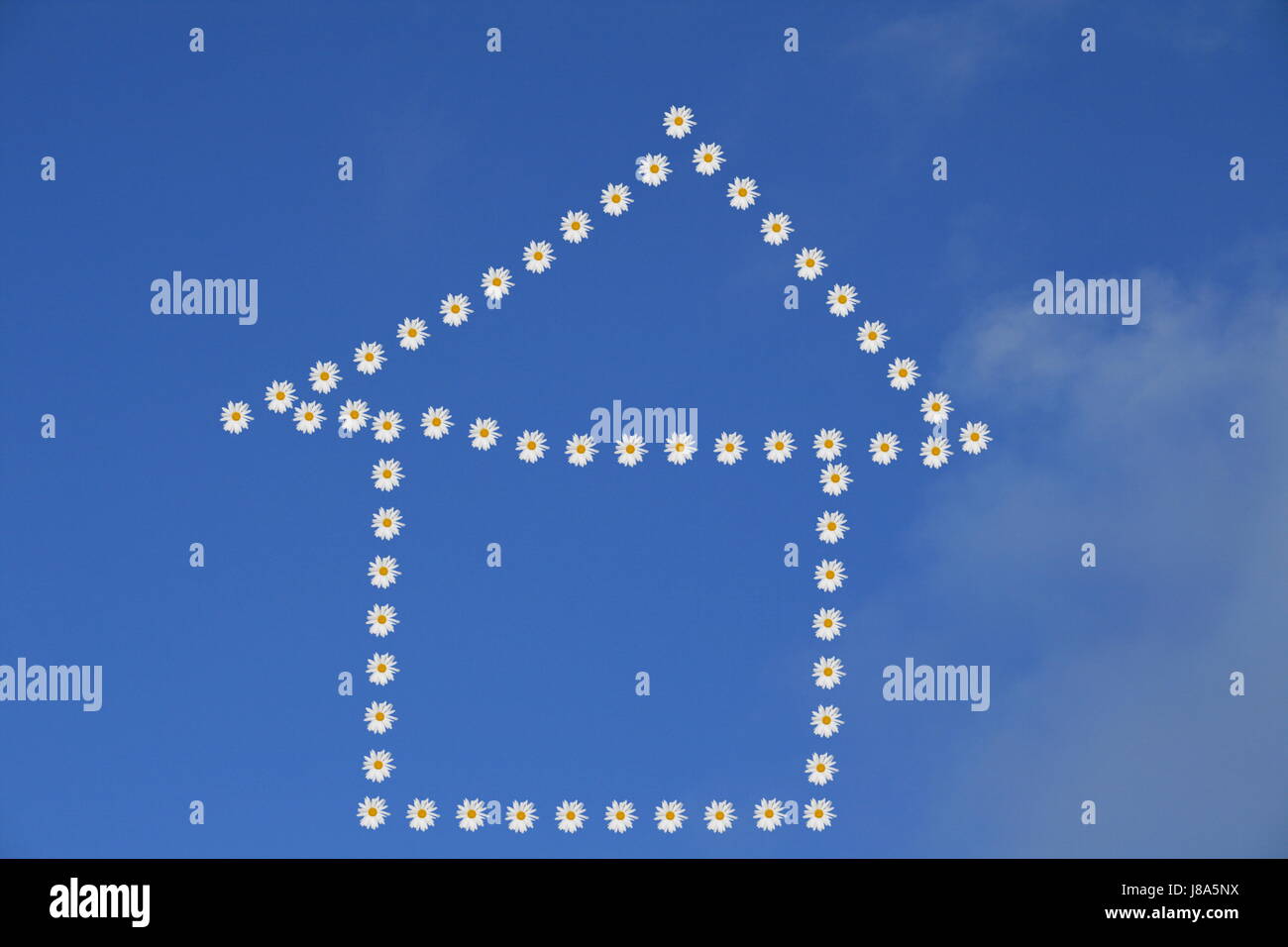 sign, signal, blue, house, building, plan, at home, build, environment ...