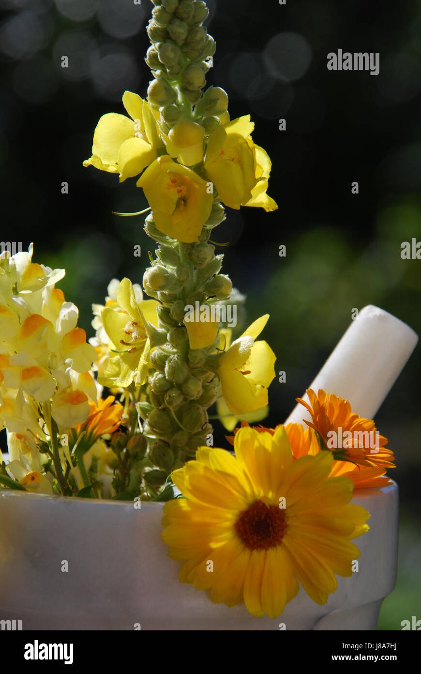 yellow herbal herbal bouquet Stock Photo