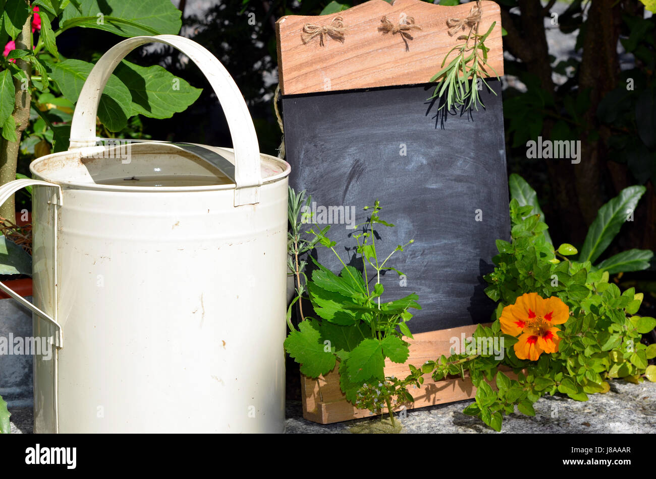 chart fresh herb garden Stock Photo Alamy