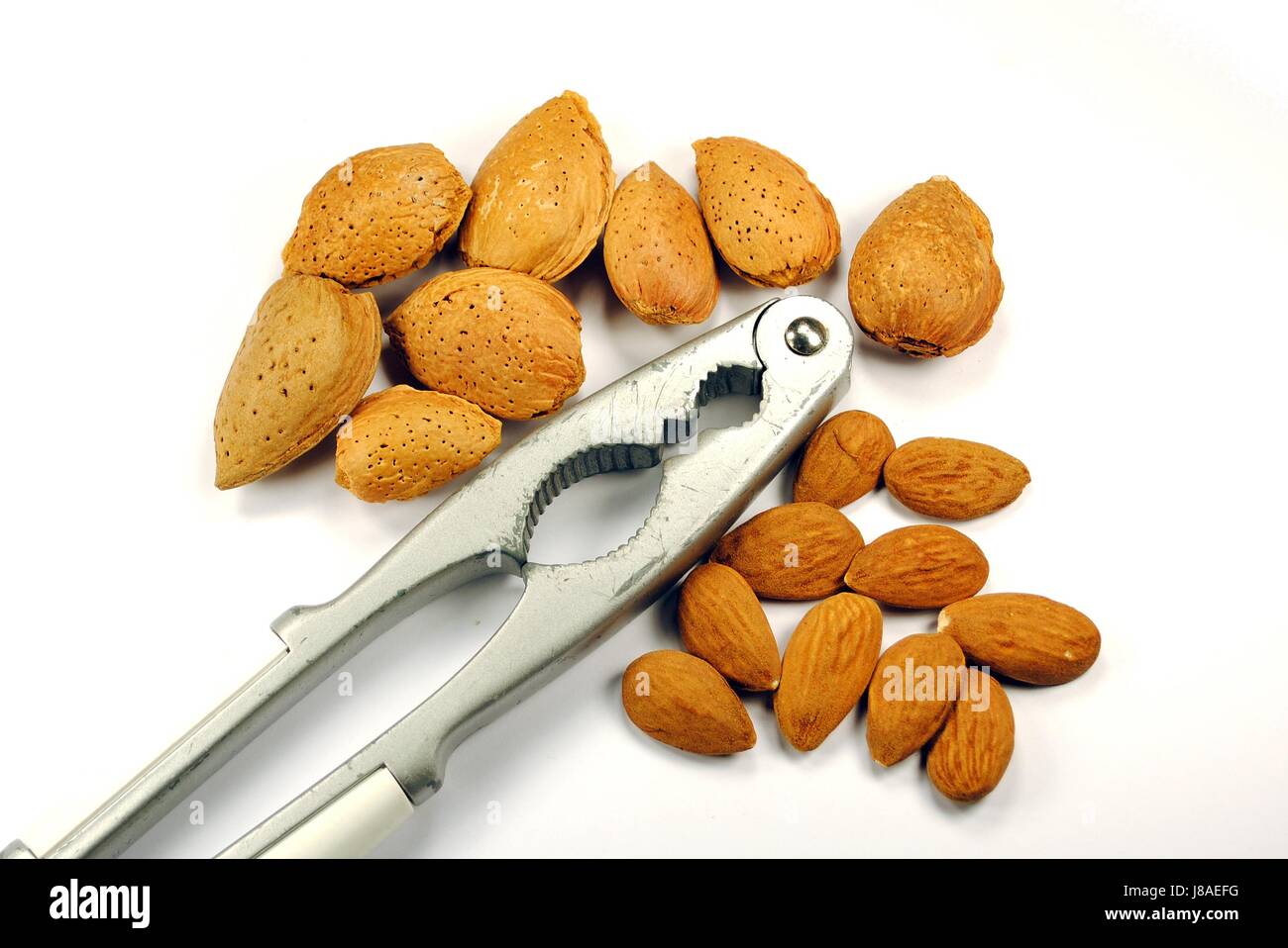 fruit, dried, nut, almond, walnut, filbert, hazelnut, nutcracker, break