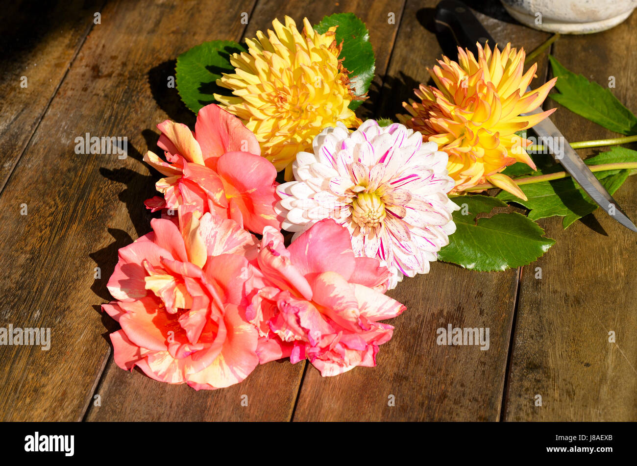 Pots of dahlias hi-res stock photography and images - Alamy