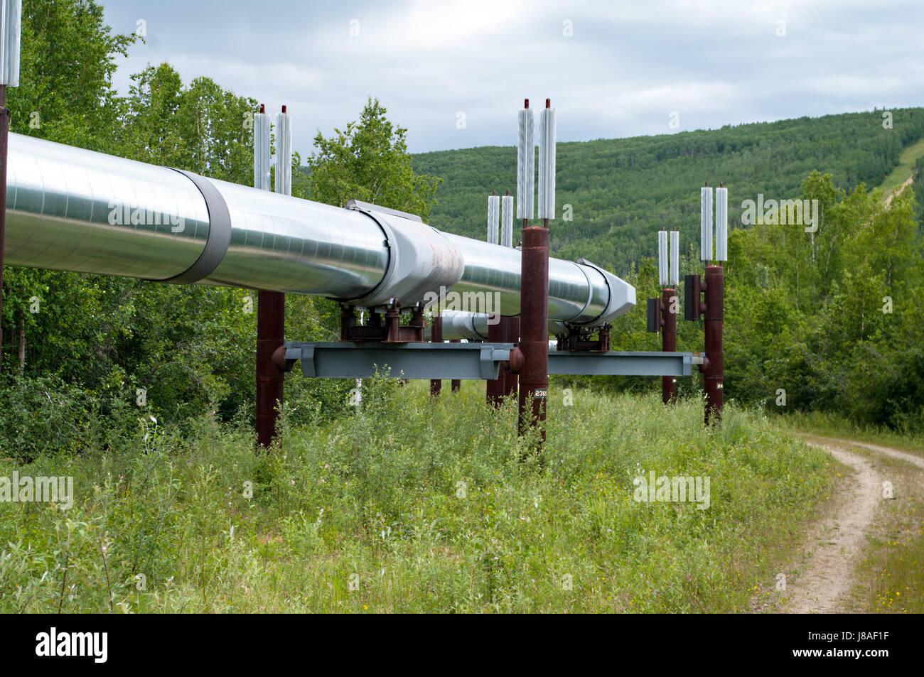 Alyeska pipeline hi-res stock photography and images - Alamy Alyeska pipeline hi-res stock photography and images - Alamy