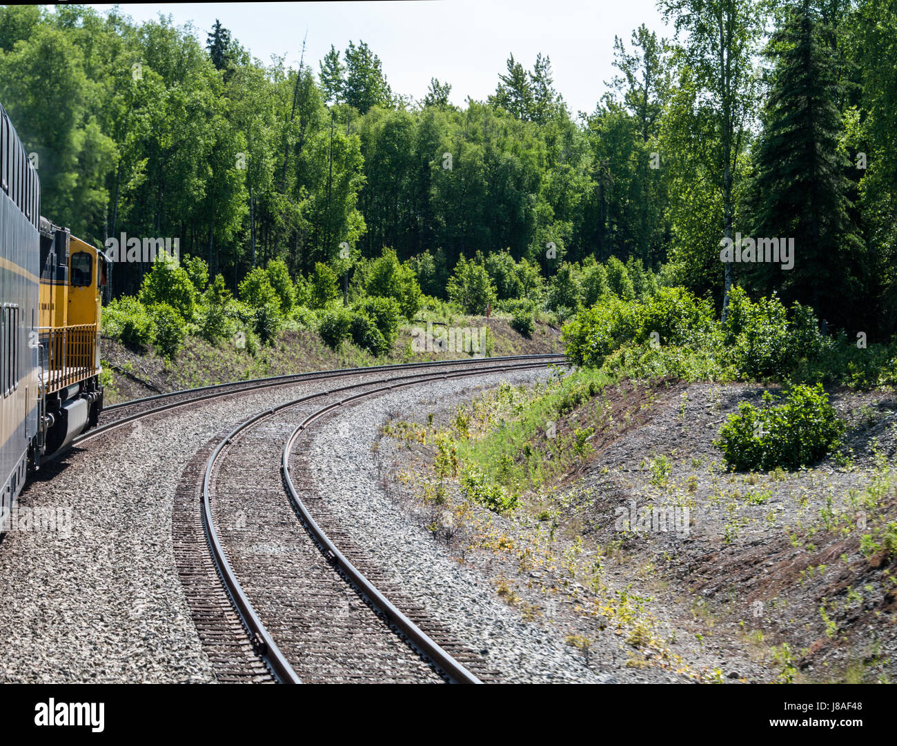 Princess Alaskan train going through the woodland Stock Photo