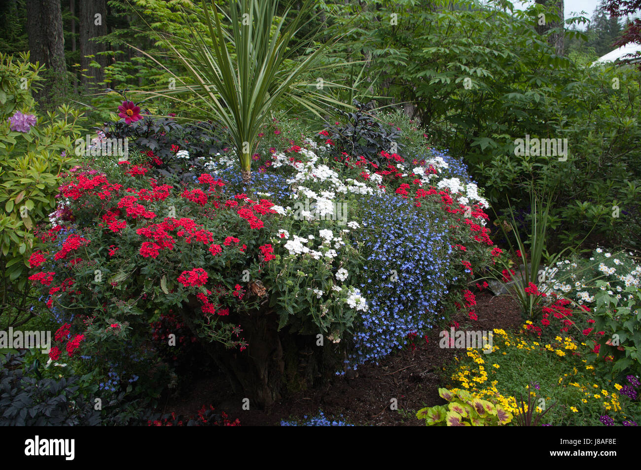 Glacier Gardens In Juneau Alaska Stock Photo 142831710 Alamy