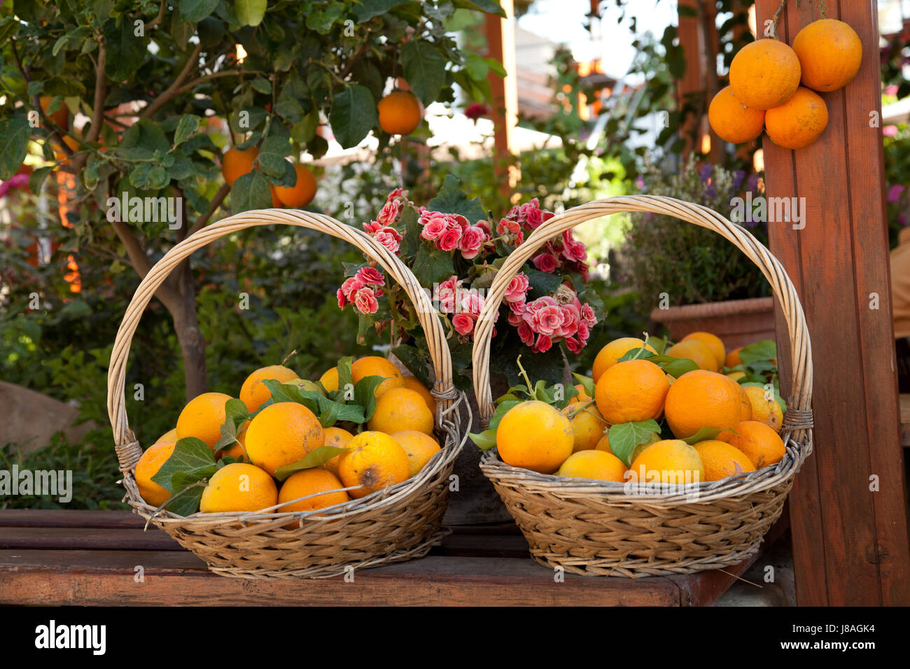 orange, basket, fruit, orange juice, juice, weekly market, marketplace, flea Stock Photo