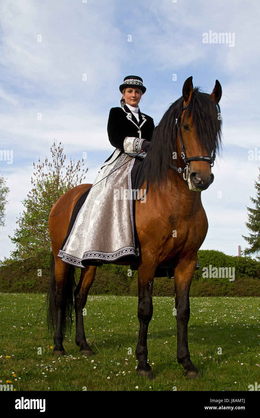 horse, animal, baroque, riding, costume, rider, equestrian ...