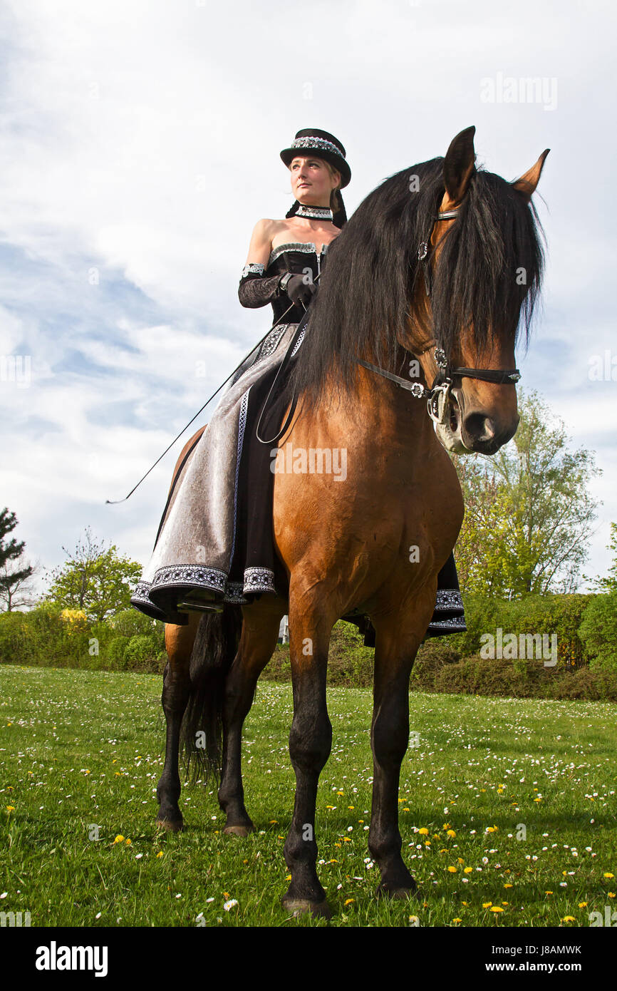 horse, animal, baroque, riding, costume, rider, equestrian