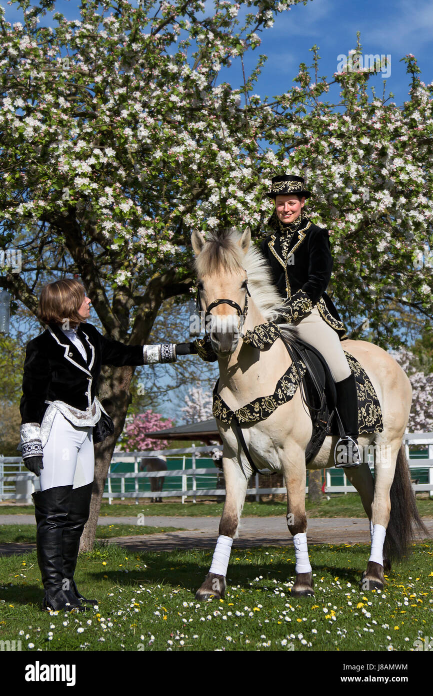 horse, animal, baroque, riding, costume, rider, equestrian ...