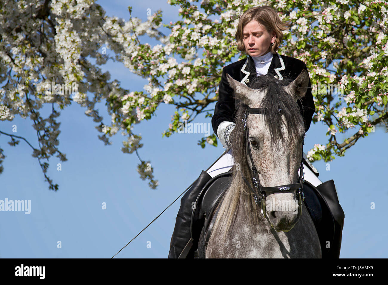 Baroque riding hi-res stock photography and images - Alamy