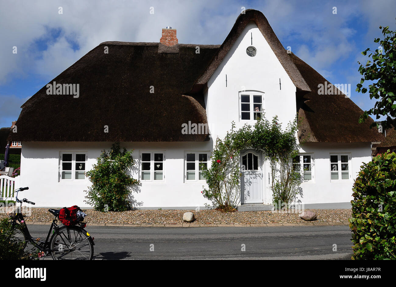 Fensterfrint hi-res stock photography and images - Alamy