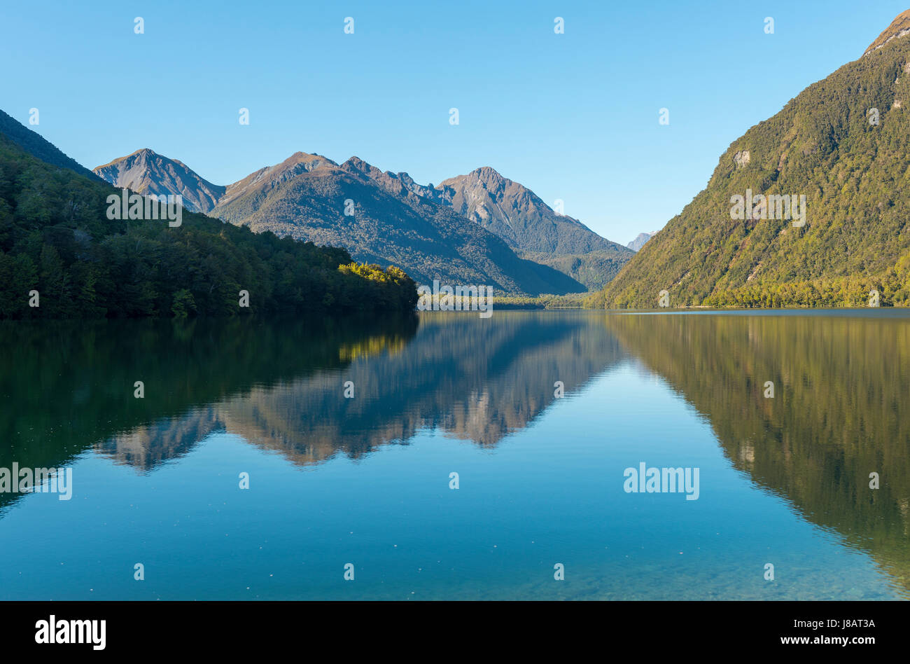 Lake Gunn, Reflection in Lake, Fiordland National Park, Southland, South Island, New Zealand Stock Photo