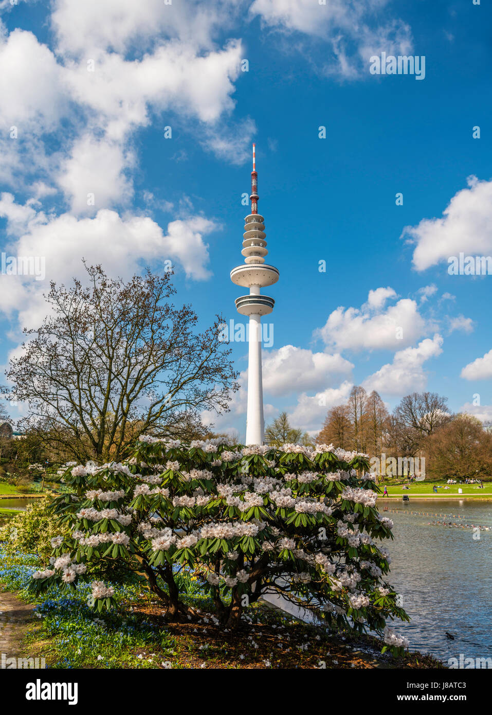 Hamburg planten un blomen hi-res stock photography and images - Page 5 -  Alamy
