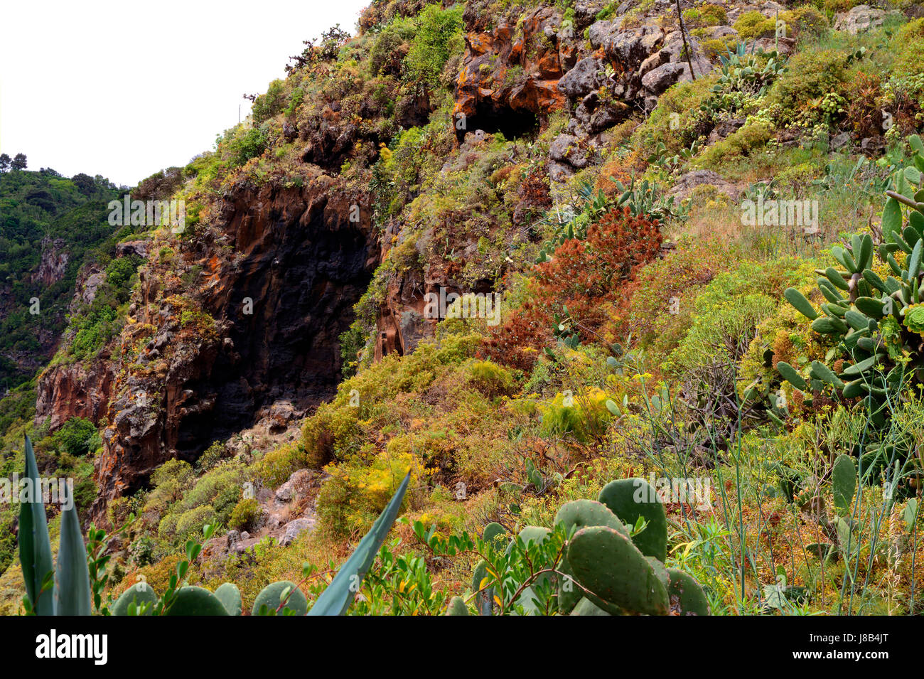Salt Rocks Volcano rock, atlantic ocean, salt water, sea, ocean, water, minerals, vulcan ...