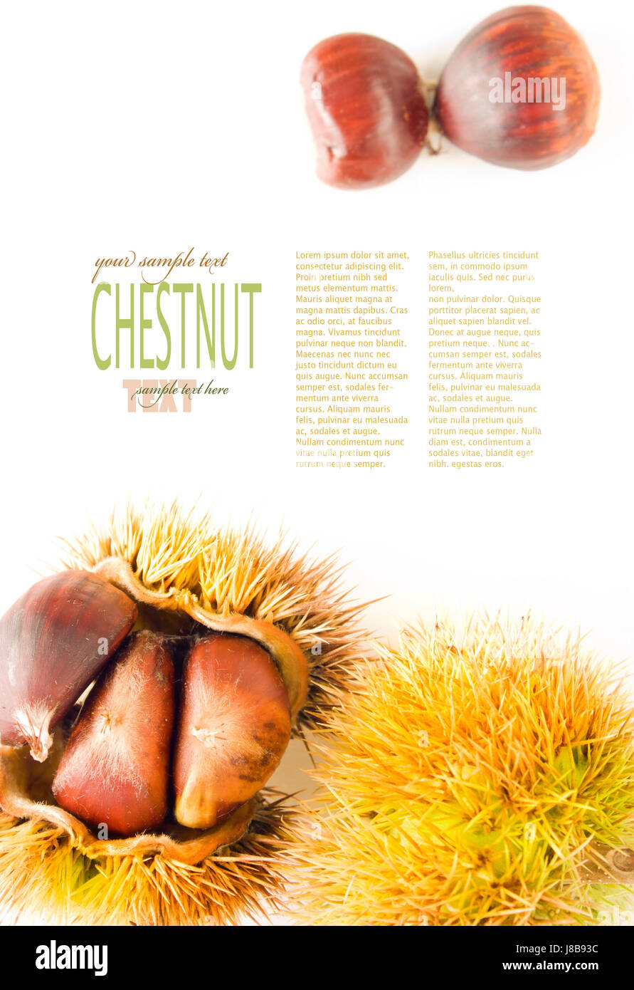 fruit, chestnut, seasonal, backdrop, background, fresh, fall, autumn ...