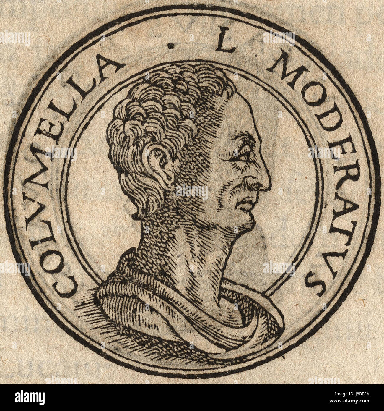 image not described image