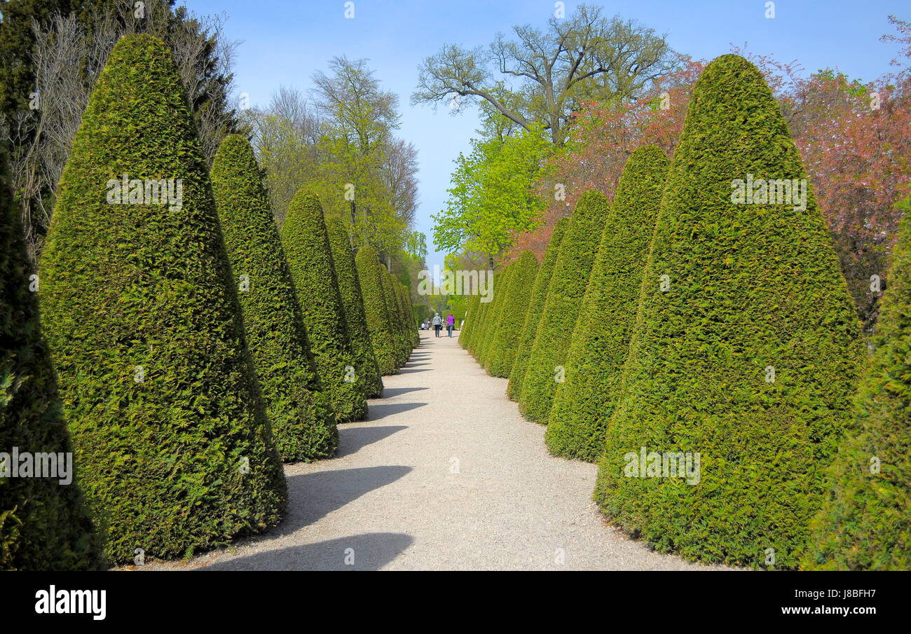 tree, trees, park, garden, plant, wood, trunk, branches, spring, branch, Stock Photo