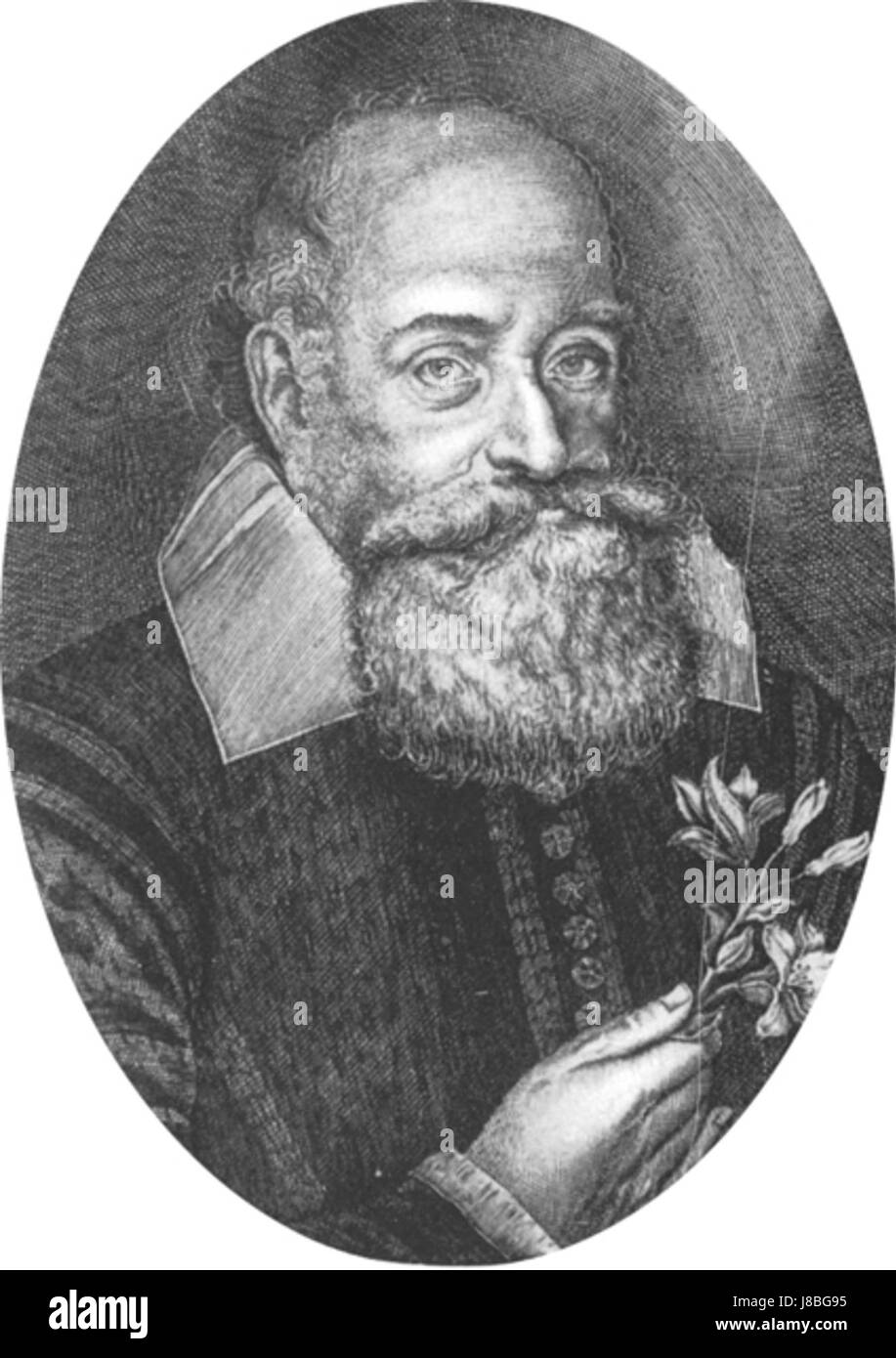 Loebel Lobel is a name that may refer to a historical figure, family, or work ...