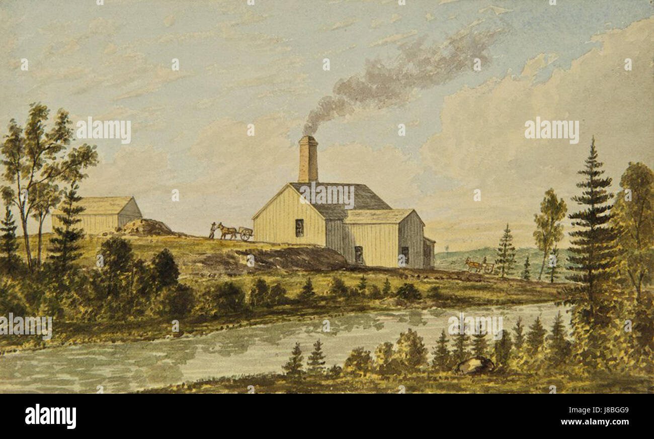 Frederick B. Nichols   Excelsior (late Chicago) Mill, Goldenville, 1871.Art Gallery of Nova Scotia Stock Photo